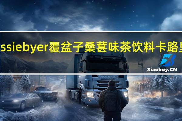 bessie byer 覆盆子桑葚味茶饮料卡路里是多少