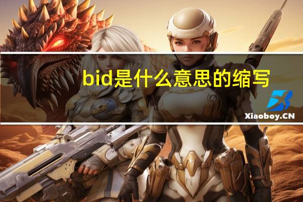bid是什么意思的缩写