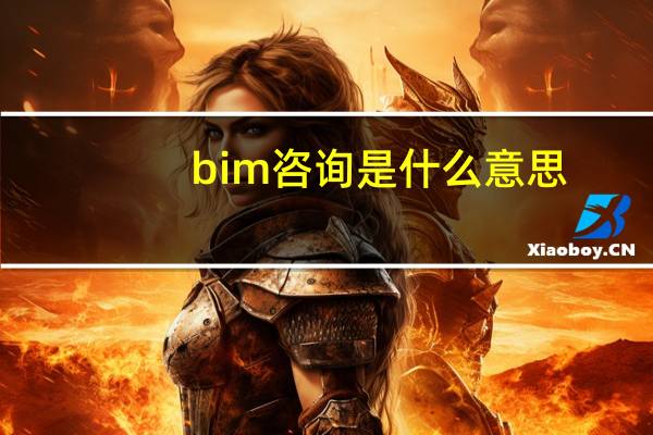 bim咨询是什么意思