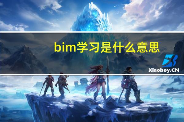 bim学习是什么意思