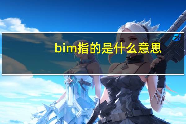 bim指的是什么意思