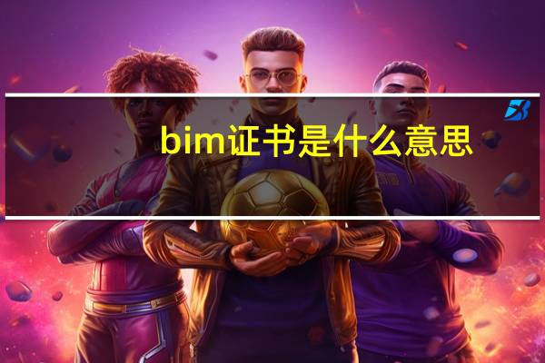 bim证书是什么意思