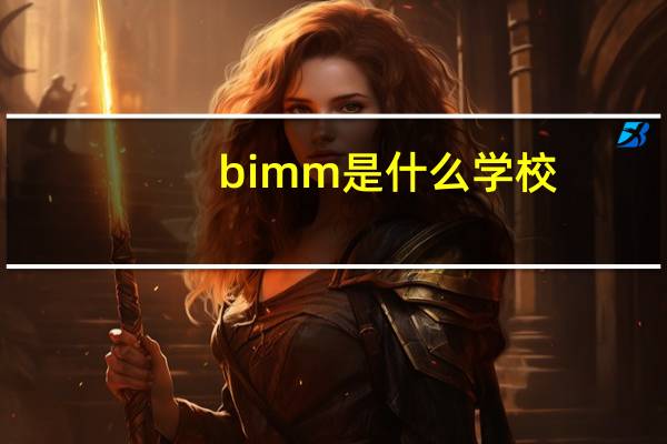 bimm是什么学校