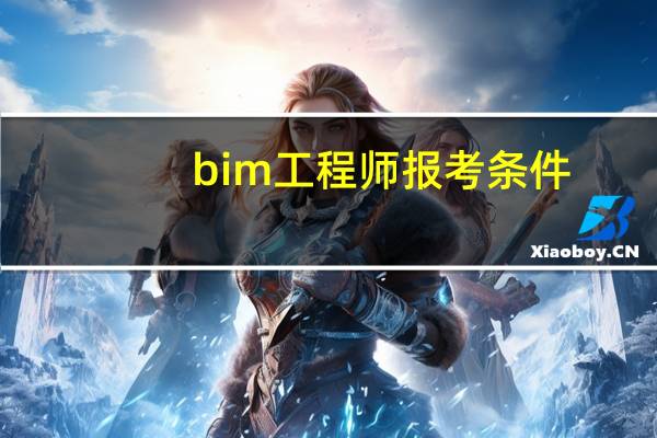 bim工程师报考条件