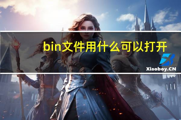 bin文件用什么可以打开（bin文件用什么打开）