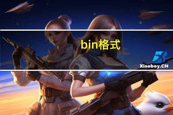 bin格式