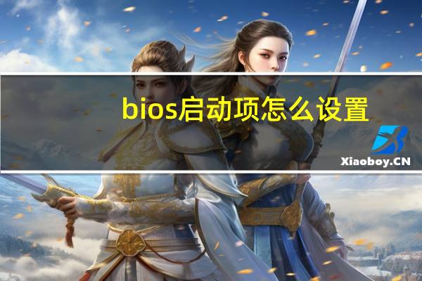 bios启动项怎么设置（bois）
