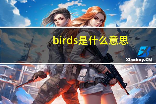birds是什么意思?