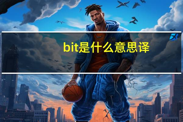 bit是什么意思译