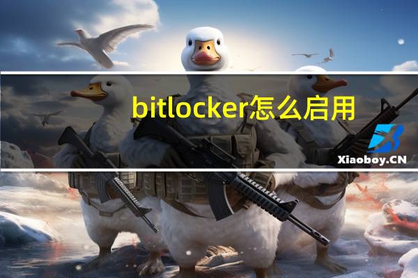 bitlocker怎么启用（启用bitlocker是什么意思）