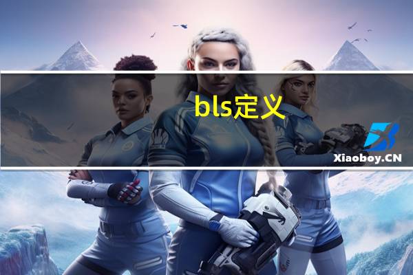 bls定义