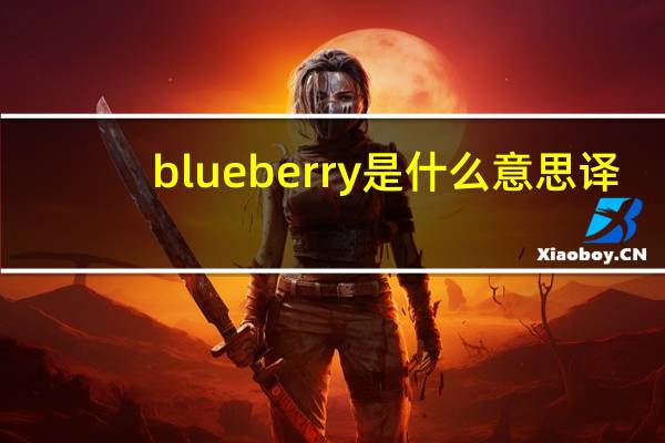 blueberry是什么意思译
