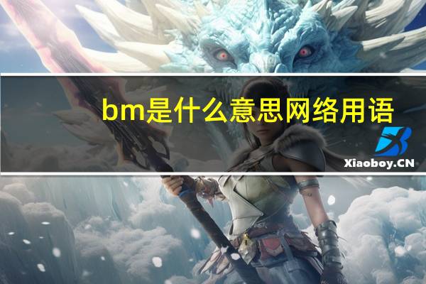 bm是什么意思网络用语（bm是什么意思）