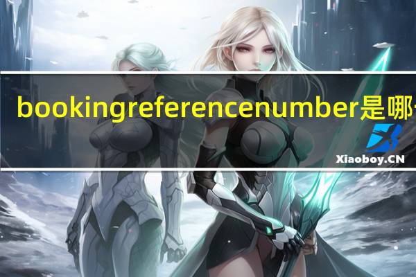 booking reference number是哪一个