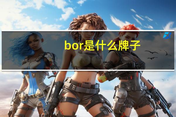 bor是什么牌子