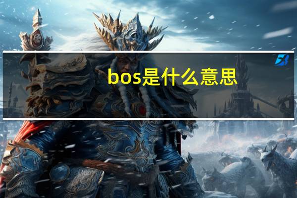 bos是什么意思?（boobs是什么意思）