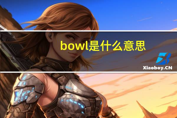 bowl是什么意思