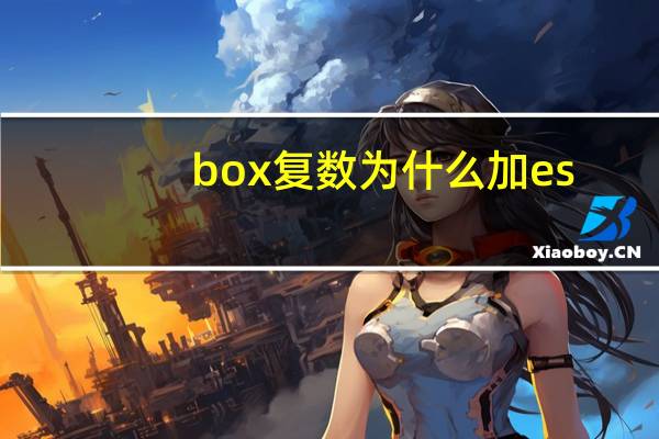 box复数为什么加es