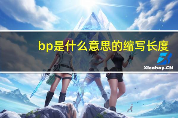 bp是什么意思的缩写长度（bp是什么意思的缩写）