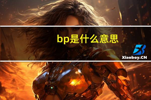 bp是什么意思（关于bp是什么意思的介绍）