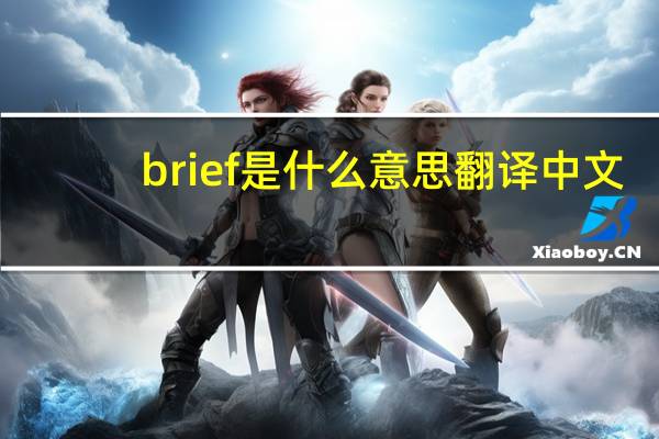 brief是什么意思翻译中文（brief是什么意思）