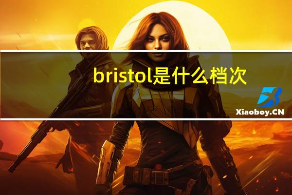 bristol是什么档次