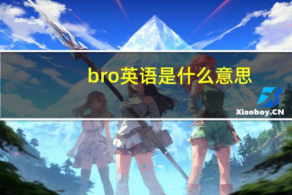 bro英语是什么意思