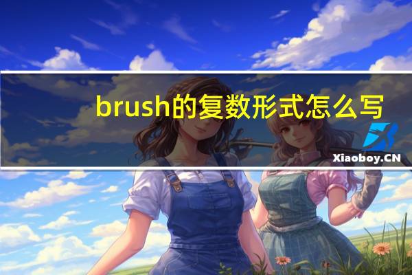 brush的复数形式怎么写