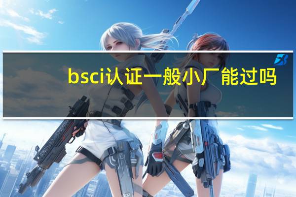 bsci认证一般小厂能过吗