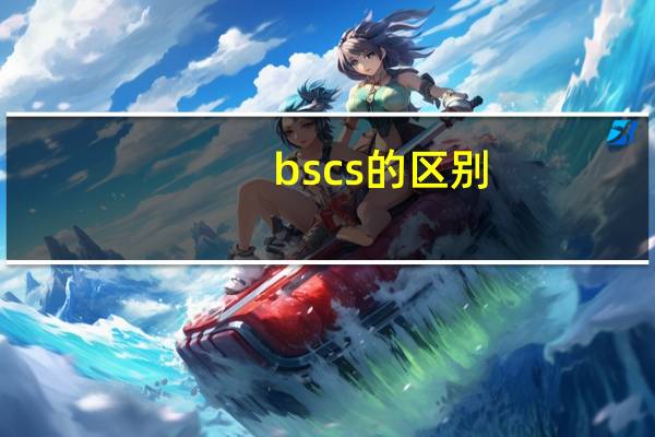 bs cs的区别（bs与cs的联系与区别）