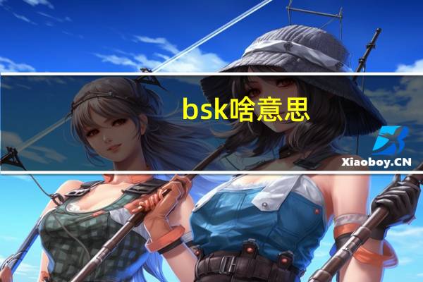 bsk啥意思?（BSK是什么意思）