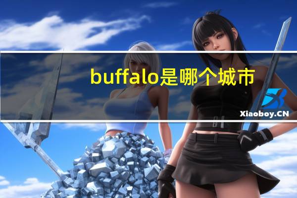 buffalo是哪个城市