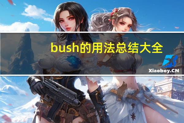 bush的用法总结大全
