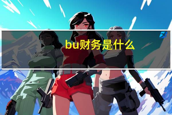 bu财务是什么