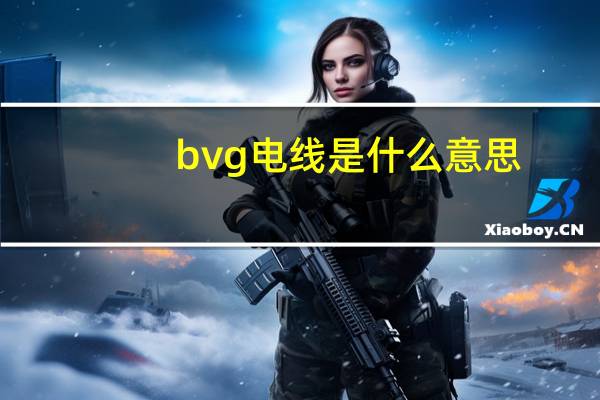 bvg电线是什么意思