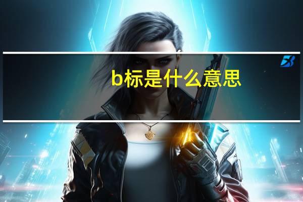 b标是什么意思