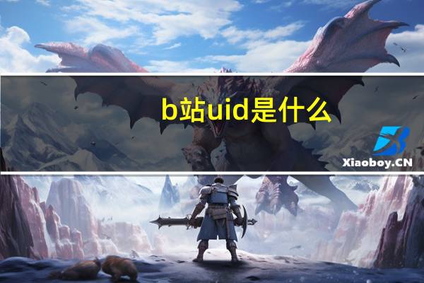 b站uid是什么
