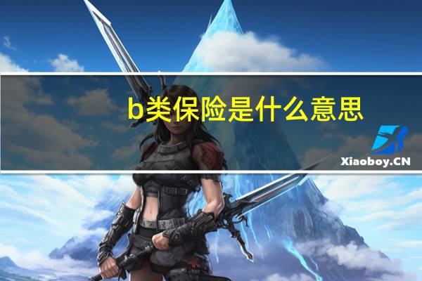 b类保险是什么意思