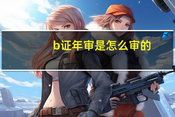 b证年审是怎么审的