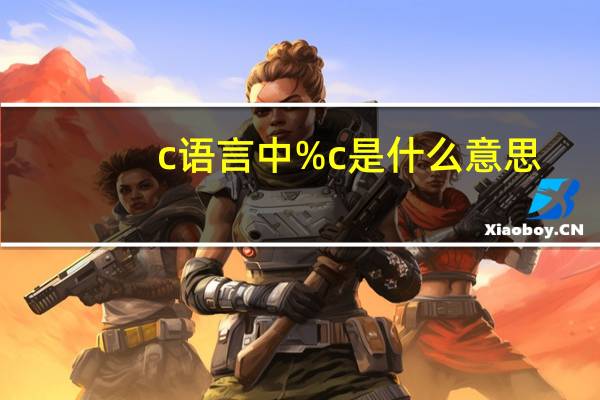 c语言中%c是什么意思