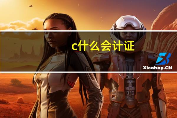 c什么会计证