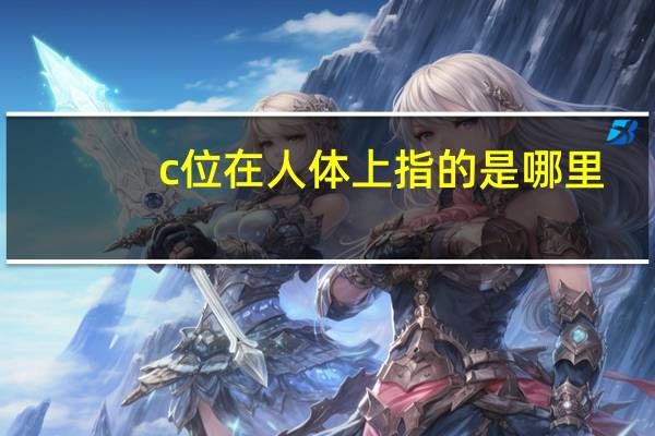 c位在人体上指的是哪里