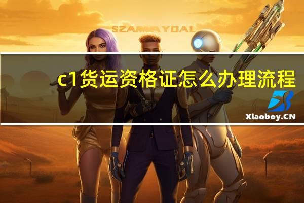 c1货运资格证怎么办理流程