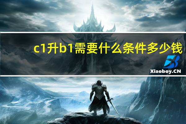 c1升b1需要什么条件多少钱