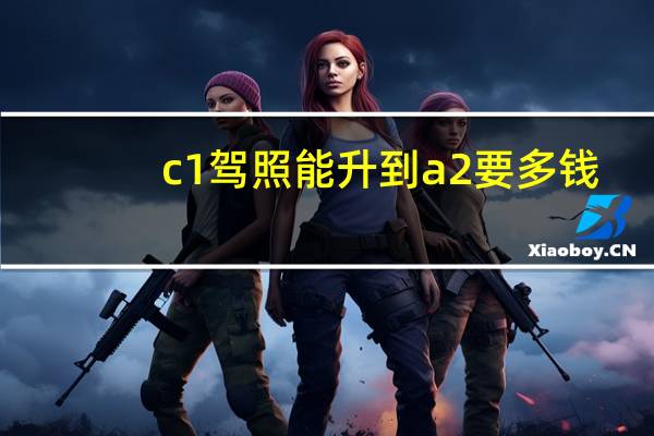 c1驾照能升到a2要多钱