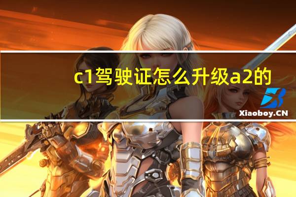 c1驾驶证怎么升级a2的