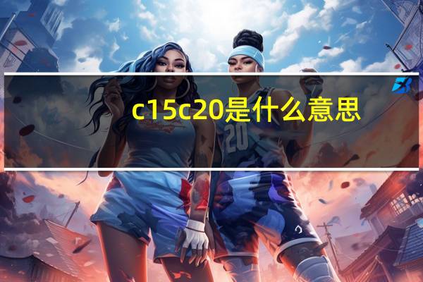 c15 c20是什么意思？