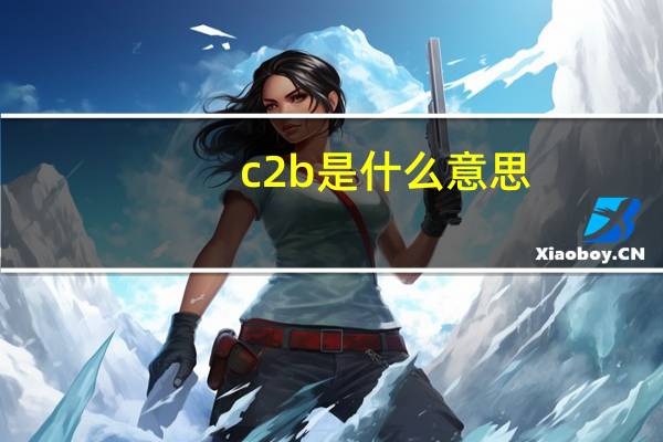 c2b是什么意思
