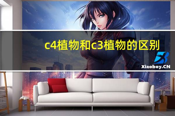 c4植物和c3植物的区别（c4植物）