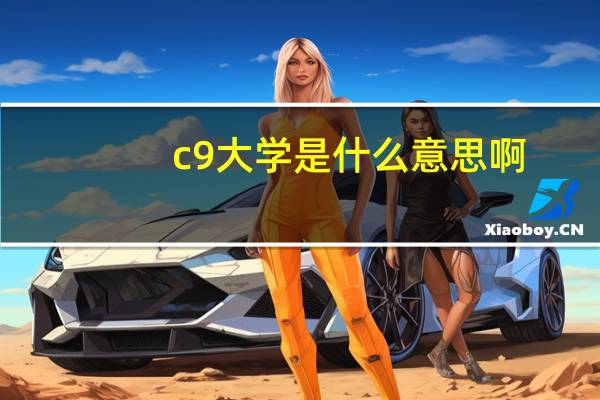 c9大学是什么意思啊